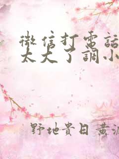 微信打电话声音太大了调小怎么调