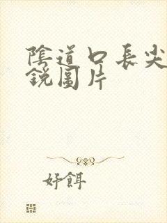 阴道口长尖疣湿锐图片