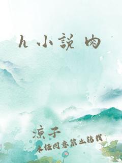 h 小说 肉