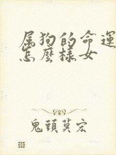 属狗的命运一生怎么样女