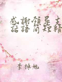 感谢领导支持的话语简短精辟