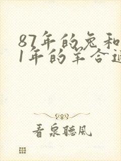 87年的兔和91年的羊合适吗