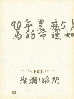 90年农历5月马的命运如何