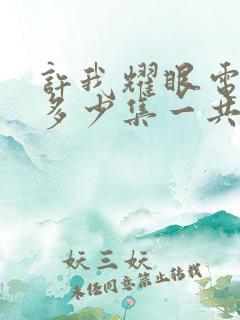 许我耀眼电视剧多少集一共几集