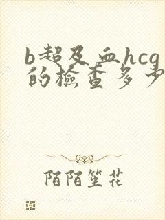 b超及血hcg的检查多少钱