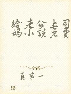 给老公上司当奶妈小说免费阅读全文