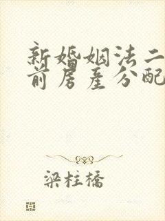 新婚姻法二婚婚前房产分配