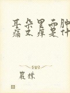 耳朵里面肿了又痛又痒是什么原因