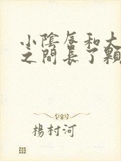 小阴唇和大阴唇之间长了颗粒