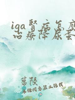 iga肾病怎么治疗降尿蛋白