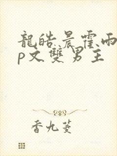 龙皓晨霍雨浩cp文双男主