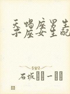 天蝎座男生和双子座女生配对指数