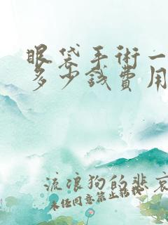 眼袋手术一般要多少钱费用