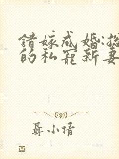 错嫁成婚:总裁的私宠新妻()