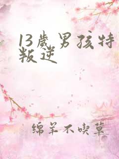 13岁男孩特别叛逆