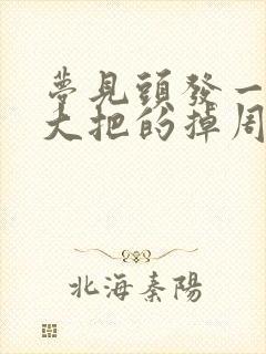 梦见头发一抓一大把的掉周公解梦