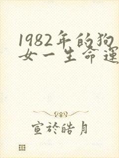1982年的狗女一生命运