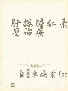 肝总胆红素高怎么治疗