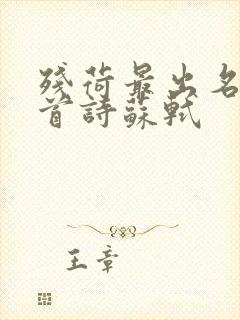 残荷最出名的一首诗苏轼