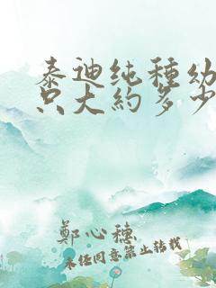 泰迪纯种幼犬一只大约多少钱