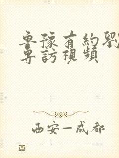 鲁豫有约刘德华专访视频