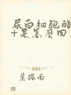 尿白细胞酯酶3+是怎么回事