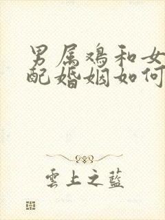 男属鸡和女兔相配婚姻如何