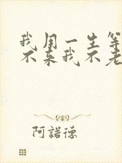 我用一生等你你不来我不老什么歌