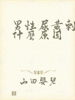 男性尿黄刺痛是什么原因