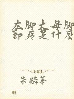 左脚大母脚趾关节疼是什么原因