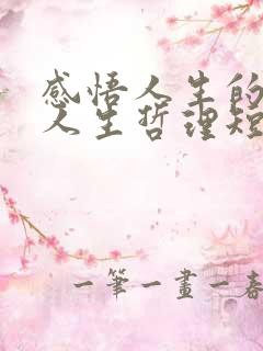 感悟人生的经典人生哲理短句