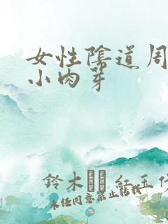 女性阴道周围的小肉芽