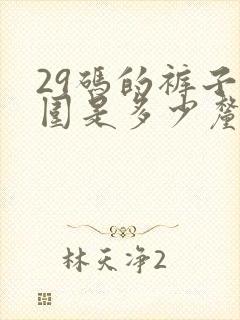 29码的裤子腰围是多少厘米