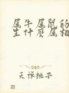 属牛属鼠的父母生什么属相的孩子