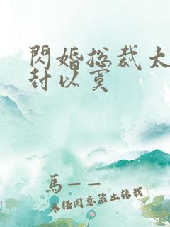 闪婚总裁太霸道封以寞