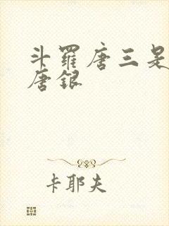 斗罗唐三是我哥唐银