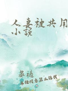 人妻被共用合集小说