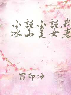 小说小说,我的冰山美女老婆