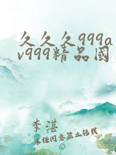 久久久999av999精品国产