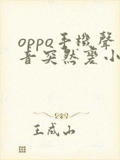 oppo手机声音突然变小了怎么恢复正常