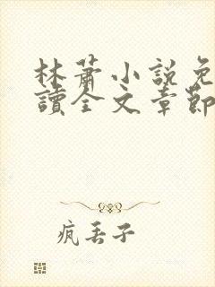 林萧小说免费阅读全文章节