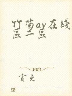 竹菊av在线一区二区