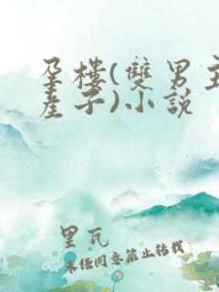 孕楼(双男主,产子)小说