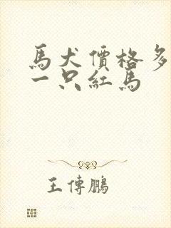 马犬价格多少钱一只红马