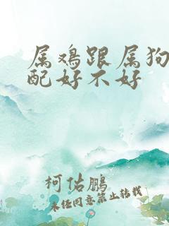 属鸡跟属狗的婚配好不好