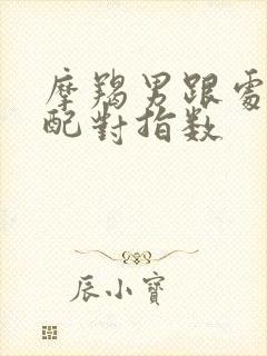 摩羯男跟处女女配对指数