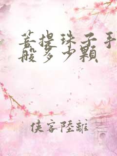 菩提珠子手串一般多少颗