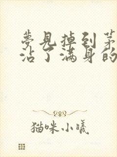 梦见掉到茅坑里沾了满身的屎