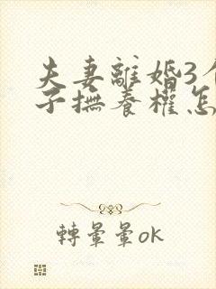 夫妻离婚3个孩子抚养权怎么判定