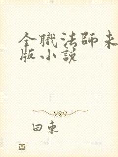 全职法师未删减版小说